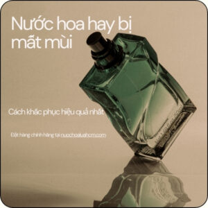 Nước hoa hay bị mất mùi là do đâu